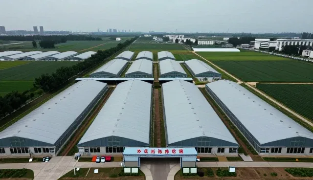 农技服务标准化管理如何提升市场适应性