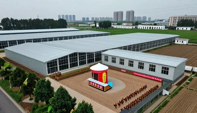 标准化管理下品种改良的常见问题与处理策略