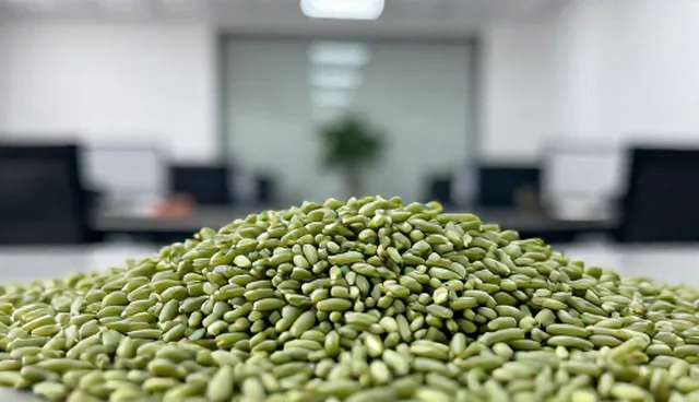 集种植选型关注点有哪些？如何避免选错